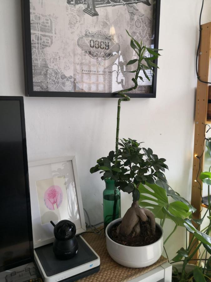 My Quiet House Apartment Malaga Ngoại thất bức ảnh