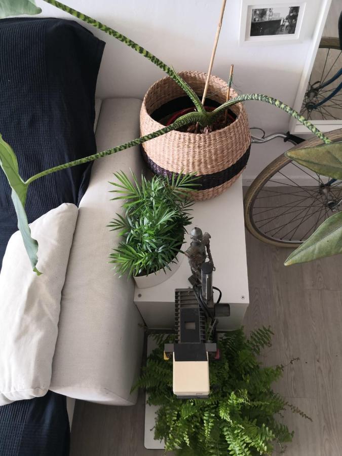 My Quiet House Apartment Malaga Ngoại thất bức ảnh