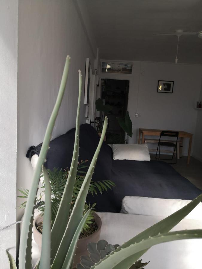 My Quiet House Apartment Malaga Ngoại thất bức ảnh